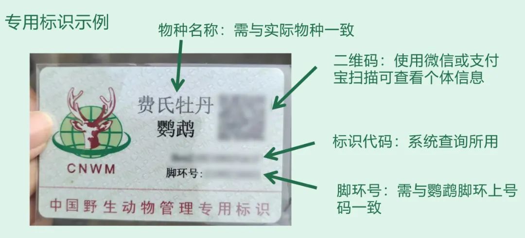 http://www.linqing.gov.cn/resources/public/20250127/6796d9f9806258504b286e6d.jpg