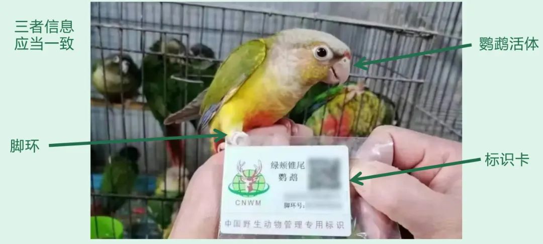 http://www.linqing.gov.cn/resources/public/20250127/6796da07806258504b286e6f.jpg