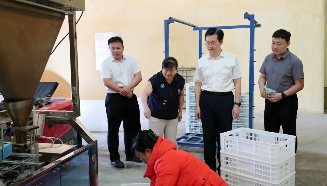 周超调研富民产业和小城镇建设工作